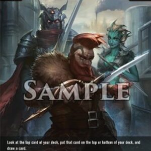 Dragoborne PR Battle Preparations