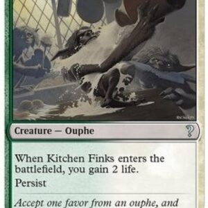 Magic: The Gathering Kitchen Finks