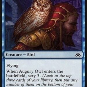 Magic: The Gathering Augury Owl