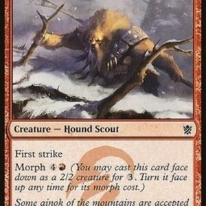 Magic: The Gathering Ainok Tracker