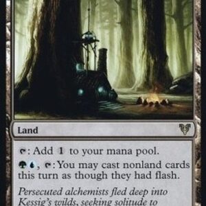Magic: The Gathering Alchemist's Refuge