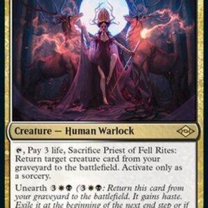 Magic: The Gathering Priest of Fell Rites