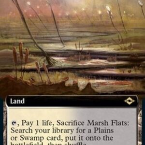 Magic: The Gathering Marsh Flats (V.3)
