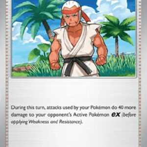 Pokemon Black Belt's Training