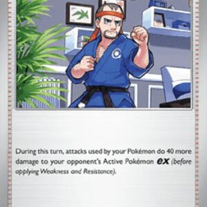 Pokemon Black Belt's Training