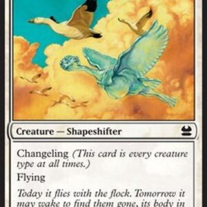 Magic: The Gathering Avian Changeling