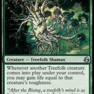 Magic: The Gathering Orchard Warden