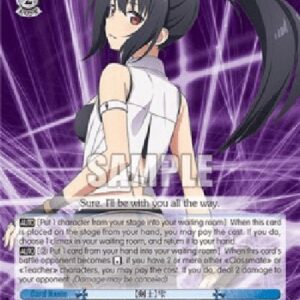 Weiß Schwarz ARI/【Swordsman】 Shizuku (V.1 - Rare)