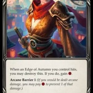 Flesh And Blood ASR Robe of Autumn's Fall