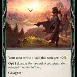 Flesh And Blood AAZ Read the Glide Path (Yellow)