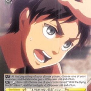 Weiß Schwarz AOT/"Whimsical Days" Eren