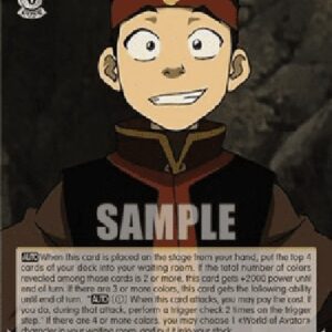 Weiß Schwarz ATLA/Aang: Blending In (V.1 - Rare)