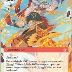 Force of Will ACN Flying Drill