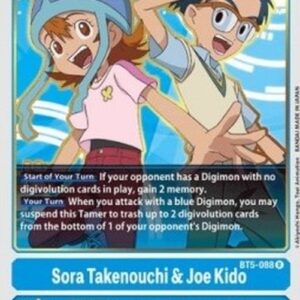 Digimon Sora Takenouchi & Joe Kido