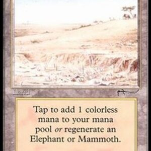 Magic: The Gathering Elephant Graveyard