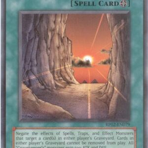 Yu-Gi-Oh! Necrovalley (V.1 - Rare)