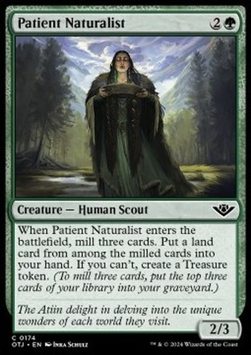 Magic: The Gathering Patient Naturalist