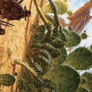 Magic: The Gathering Art Series: Cactarantula (V.1)