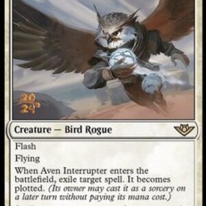Magic: The Gathering Aven Interrupter (V.1)