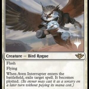 Magic: The Gathering Aven Interrupter (V.2)
