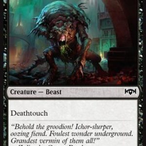 Magic: The Gathering Noxious Groodion