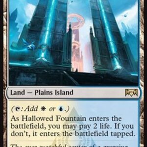 Magic: The Gathering Hallowed Fountain