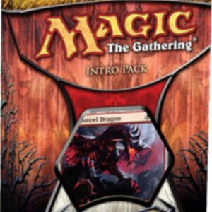 Magic: The Gathering New Phyrexia Life for Death Intro Pack