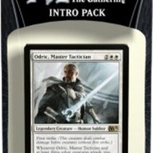 Magic: The Gathering Magic 2013: Path to Victory Intro Pack