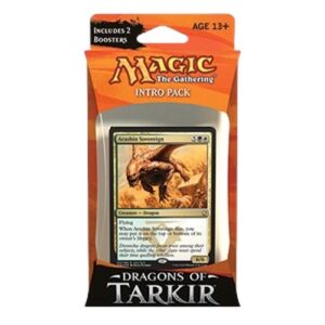 Magic: The Gathering Dragons of Tarkir: Intro Pack