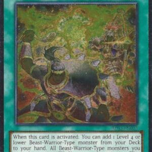 Yu-Gi-Oh! Fire Formation - Tenki