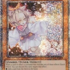 Yu-Gi-Oh! Ash Blossom & Joyous Spring