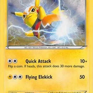 Pokemon Pikachu Libre