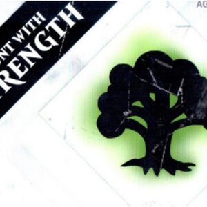 Magic: The Gathering Magic 2015: "Hunt with Strength" Prerelease Pack