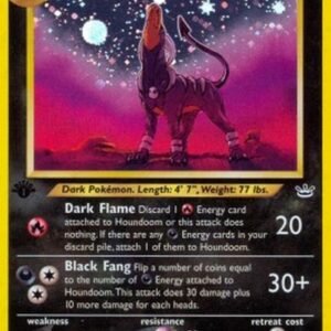 Pokemon TCG Houndoom