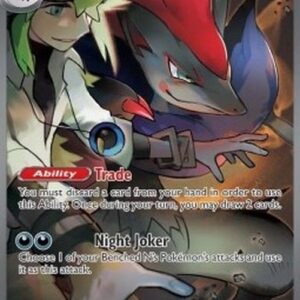 Pokemon Ns Zoroark ex