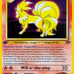 Pokemon Brocks Ninetales