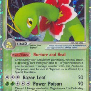 Pokemon Meganium ex
