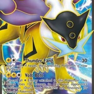 Pokemon Raikou EX