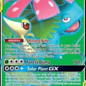Pokemon Venusaur & Snivy GX