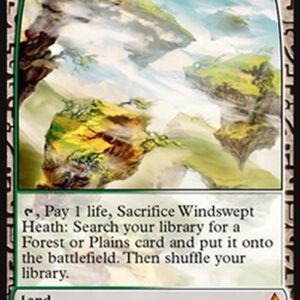 Magic: The Gathering Windswept Heath