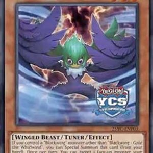 Yu-Gi-Oh! Blackwing - Gale the Whirlwind