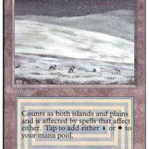 Magic: The Gathering Tundra