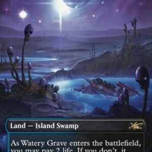 Magic: The Gathering Watery Grave