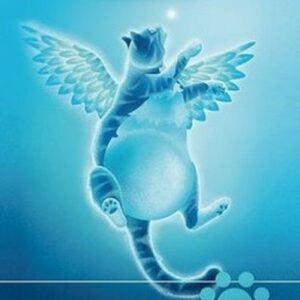 Magic: The Gathering Bird Token