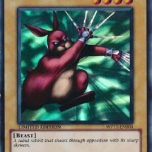 Yu-Gi-Oh! TCG Wilmee
