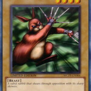 Yu-Gi-Oh! TCG Wilmee