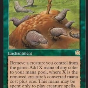 Magic: The Gathering Food Chain