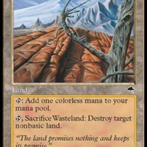 Magic: The Gathering Wasteland