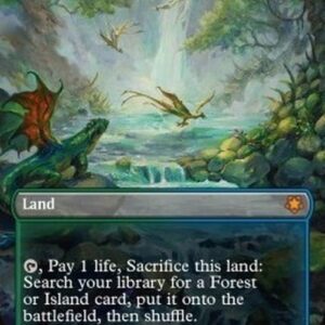Magic: The Gathering Misty Rainforest