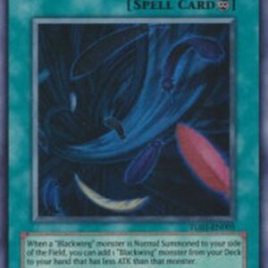 Yu-Gi-Oh! Black Whirlwind